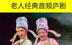 313首庐剧音频MP3合集百度网盘打包下载 313首庐剧音频MP3合集百度网盘打包下载目录如下：庐剧《泪洒鸳鸯桥》主题曲.mp3------402KB庐剧《精彩片段联唱》盛小五、夏巧云、周大三 等.mp3------1MB庐剧《洪牡丹》06 王