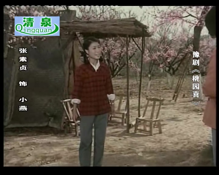 豫剧 桃园喜电影