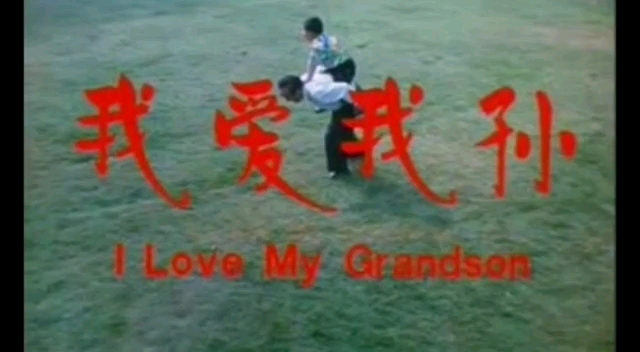 豫剧《我爱我孙》高秀敏 任宏恩 白军选 田敏 《我爱我孙》是一部带有强烈喜剧色彩的戏曲故事片。男主角刘伯，由著名豫剧演员任宏恩扮演，女主角胖婶，由著名小品演员高秀敏扮演，剧中台词分别采用河南和东北两地方言，并不时穿插