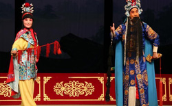 河南豫剧全场戏对花枪伙夫县长苏武牧羊等七部mp4打包下载 河南豫剧全场戏对花枪伙夫县长等七部mp4打包下载。高清画质。高清豫剧全场戏《伙夫县长》金不换 王建华 徐福先.mp4高清豫剧全场戏《孙悟空三打白骨精》金不换 徐福先.mp4高