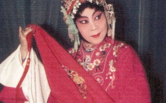 豫剧《香囊记》河南省豫剧院演出 豫剧《香囊记》,又名《文武换亲》、《拾花轿》。明代时期故事。豫剧《香囊记》剧情介绍：明代尚书之子张志成，为避继母虐待，逃至王府作佣。王女定云爱其人慕其才，暗赠香囊许以终