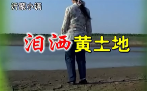 山东沂蒙小调 泪洒黄土地 12集 标清mp4百度云网盘打包下载 山东沂蒙小调 泪洒黄土地 12集 标清mp4百度云网盘打包下载曲目如下：01沂蒙小调【泪洒黄土地】第01集.mpg刘礼摄制_标清.mp4------290MB02沂蒙小调【泪洒黄土地】第02集.mpg刘