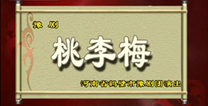 豫剧《桃李梅》 金不换 徐福先高清mp4视频下载 剧情简介该剧写明朝万历年间，集宁县知县袁如海为人懦弱，被称为“弯腰知县”。他的夫人封氏精明强干。他们有三个漂亮的女儿玉桃、玉李、玉梅。长女玉桃已嫁总兵府文案赵运华，次