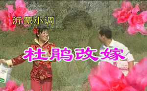 沂蒙小调杜鹃改嫁二部共16集mp4戏曲视频打包下载 沂蒙小调杜鹃改嫁二部共16集mp4戏曲视频打包下载曲目如下：