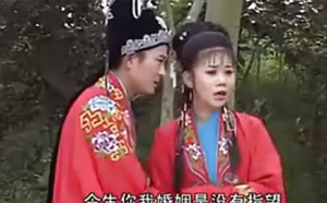 庐剧《儿不认妈天上下沙》视频全集np4打包下载昂小红王小五 庐剧《儿不认妈天上下沙》视频全集 昂小红 王小五。