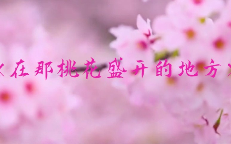 唢呐 在那桃花盛开的地方 视频合集
